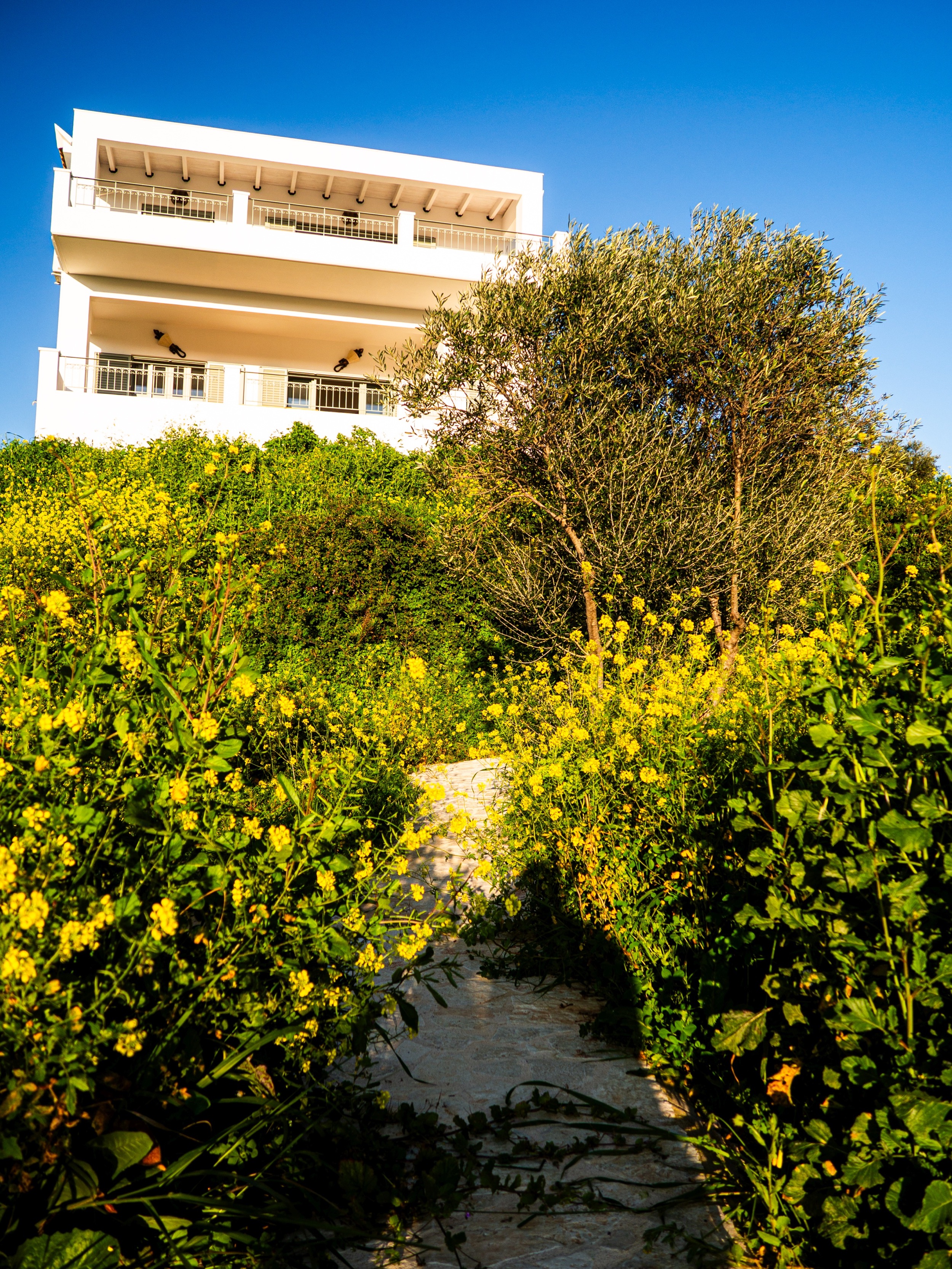 Villa-Gerkada-Aussenbereich-Pool-Haus-19